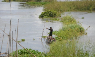 Mưu sinh mùa nước nổi miền Tây