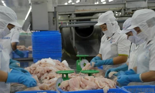 Chi tiết chương trình kiểm soát cá da trơn xuất khẩu sang Mỹ