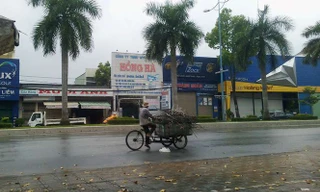 Vì sao người dân Cần Thơ chưa được nhận tiền hỗ trợ dịch COVID-19?