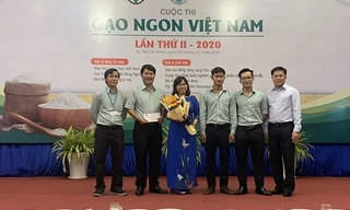 Những loại gạo nào của Việt Nam sẽ dự thi gạo ngon thế giới?