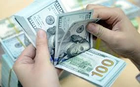 Vừa giảm nhẹ, giá USD bật tăng trở lại. ảnh minh hoạ internet