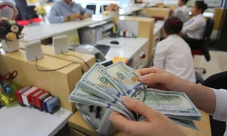 Chuyên gia kinh tế lý giải về nguyên nhân khiến tỷ giá trung tâm tăng cao. ảnh minh hoạ 