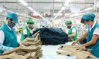 Cả nước có hơn 505 nghìn DN đang hoạt động. ảnh minh hoạ 