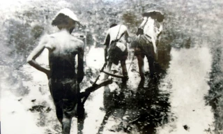 Tình cảnh cơ cực của người nông dân Việt Nam đầu Thế kỷ 20