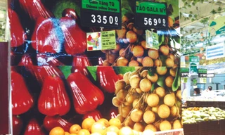 Cảnh báo nhập siêu toàn diện từ Trung Quốc