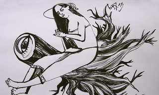 Chuyện kể cây dẻ