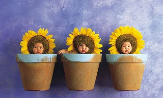 Tháng 4 của bạn