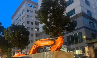 Đào đường gây oằn lún cục bộ, Sở GTVT TP.HCM ra 'tối hậu thư'