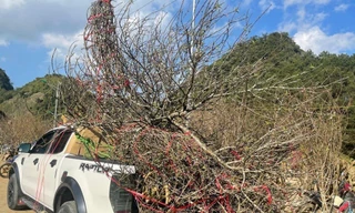 Tài xế bán tải mang cả 'thế giới' về quê ăn Tết