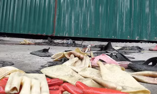 Những kẻ nhẫn tâm