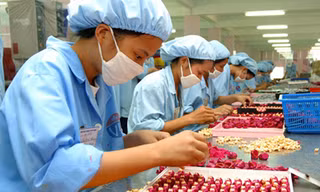 Đề xuất tăng cường quản lý lao động