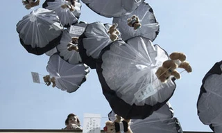 Sa thải hai quan chức Belarus vì không ngăn chặn ‘bom gấu Teddy’