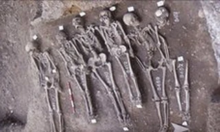 Giải mã gene vi khuẩn gây ra Cái chết Đen