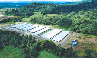 Mavin được vinh danh Top 10 Doanh nghiệp ESG Việt Nam Xanh 2025