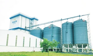 Tập đoàn Mavin tiên phong trong phát triển xanh, minh bạch và có trách nhiệm 