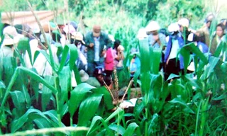 Ly kỳ vụ em trai tố anh giết bố