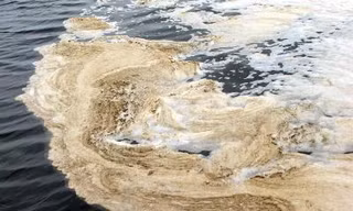 Duy lý và duy tình