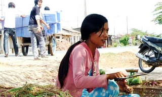 Nhiều người trồng hành tím bị mù mắt