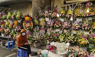 Các chủ cửa hàng hoa tại Hà Nội thiệt hại nặng trong dịp 8/3 vì dịch Covid - 19.