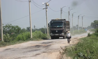 Xe quá khổ, quá tải ngang nhiên đi trên đê sông Hồng dù có biển cấm