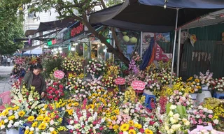 Giá hoa giảm khiến người nông dân trồng hoa ở làng Tây Tựu gặp khó khăn