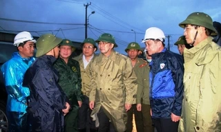 Bão số 11: ngang với siêu bão Xangsane