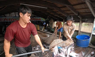 Xuất khẩu thủy sản: Đặt mục tiêu 8 tỷ USD