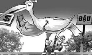 Mùa thi lại nóng chuyện mua điểm