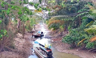 Cô lập carbon bằng phương pháp sinh học để ứng phó với xâm nhập mặn và nước biển dâng ở ĐBSCL