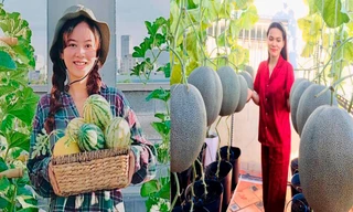 Những vườn rau xanh mướt trên sân thượng của các bạn trẻ mùa dịch 