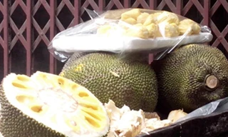 Mít bị tiêm hóa chất để thúc chín nhanh