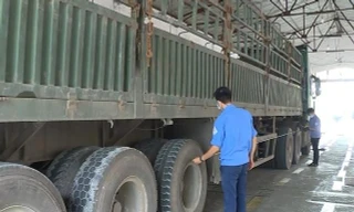 Hơn 19.000 phương tiện bị trượt đăng kiểm 