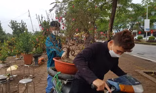 Rằm tháng Chạp: Đào, quất trong mưa rét ngóng khách mua