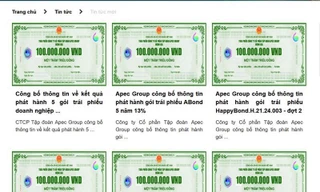 Tập đoàn APEC bị xử phạt 600 triệu đồng vì phát hành trái phiếu "chui".