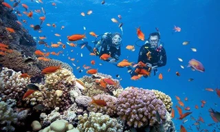 Du lịch sôi động trở lại sau 3 năm COVID-19.