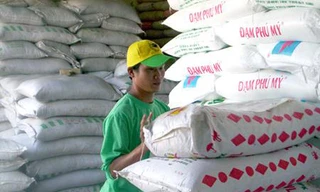 Nhiều loại phân bón tăng giá