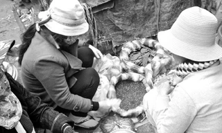  Những người phụ nữ bán “thuốc Bắc” luôn bịt kín mặt