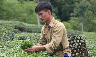 Mơ ước của hai thủ khoa trường Y