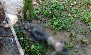 Xác nam thanh niên bị trói 2 chân trôi trên sông