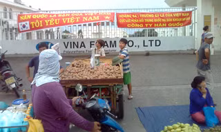 Công ty Hàn Quốc trở lại làm việc 