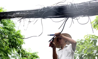 Hà Nội: Đứt dây điện hạ thế, cặp vợ chồng thiệt mạng