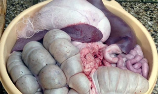 Dân Nhật học tiếng Việt, mở quán lòng lợn cho người Việt