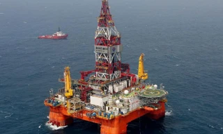 Cây bất bể Đông