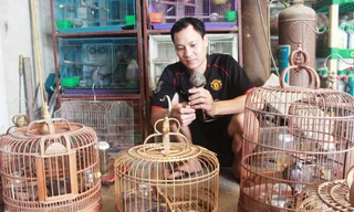 Anh Trương Quốc Thắng chăm sóc đàn cu gáy