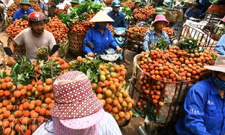 Để tránh tình trạng “tắc” vải ở cửa khẩu cần tăng tiêu thụ nội địa 