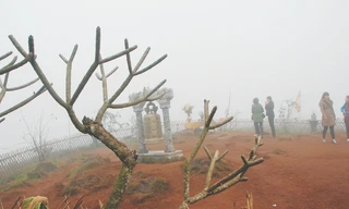 Đỉnh thiêng Ngàn Nưa. Ảnh: Xuân Ba