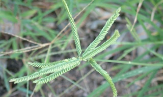 Bí quyết giữ cho thận luôn khỏe