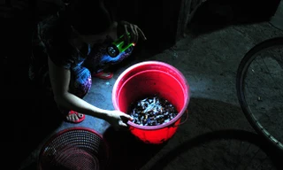 Người phụ nữ 15 năm mò mẫm bắt gián đêm ở Sài Gòn