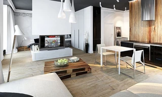 Căn hộ 50 m2 với hai tông màu đen trắng