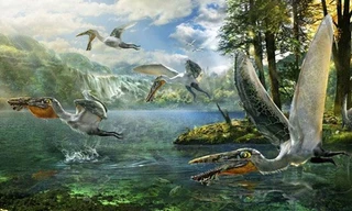 Hình ảnh phác họa loài thằn lằn bay bí ẩn. Ảnh: Reuters